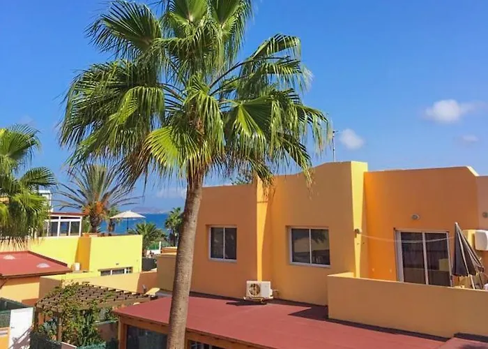 Delfines קורלחו